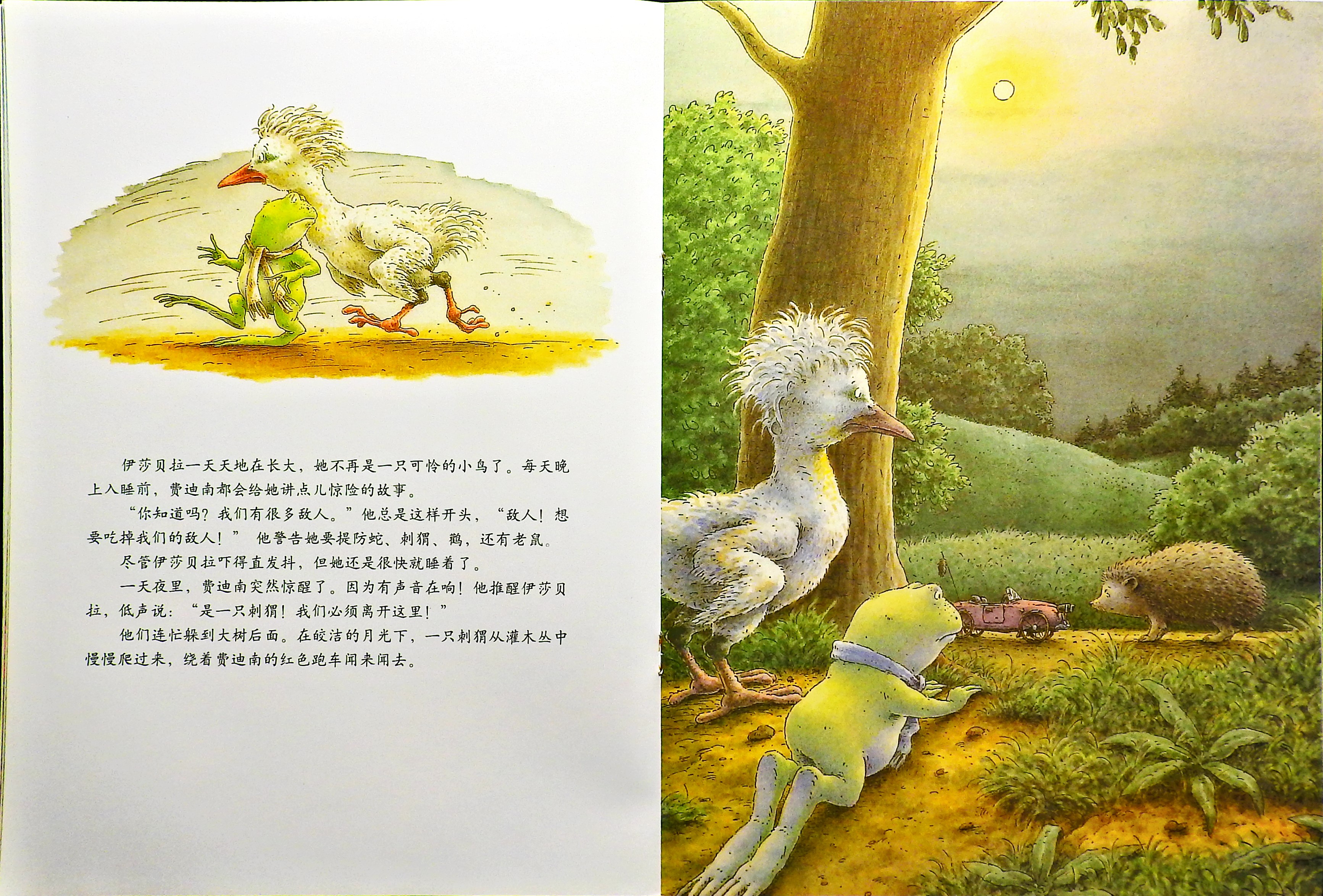 青蛙王子历险记 (09),绘本,绘本故事,绘本阅读,故事书,童书,图画书,课外阅读